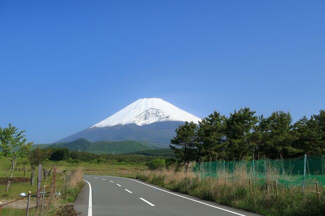 この日は午前中は富士山に雲がないことを確信したため<br />富士山を見に裾野市へ。<br />水ヵ塚公園から有料道路の南富士エバーグリーンラインを<br />下り、市立富士山資料館付近からの富士山を撮りました。