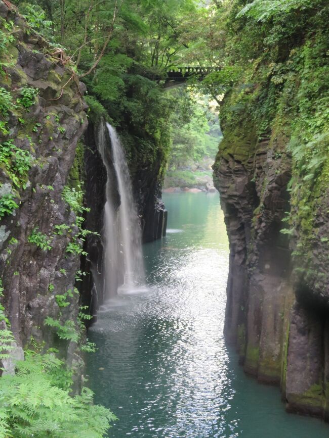 高千穂峡へ行きたいと思って、はや何年も経過してしまいました。宮崎県だから・・・と調べてみると、熊本県から行く方が近いことが判明。今年3月に有効期限が切れるマイルを使いたいのだが、特典航空券の枠は全部満席。仕方なくスカイコインにチェンジ。マイルより割高になったけど、ただやし（笑）良しとしましょう。熊本だったら、山鹿市にある「八千代座」もみてみたいじゃない。昨年からレンタカーの旅に慣れてきた私。今回もてんこ盛りに観光を詰め込みました。グルメは「馬刺し」に「阿蘇の赤牛」と「天草の海鮮」と楽しみがいっぱい。ただ、天気予報では土日は雨らしい（2週間前から5日前まで）でも？どっちか曇りか晴れになるやろうと思っての出発。結果、初日は雨、二日目は快晴でした。<br /><br />ANA航空券：伊丹⇔熊本　　￥29,000　（スカイコイン）<br />たびらい：スカイレンタカー：￥11,100　<br />　　　　　ガソリン代金　￥2,784<br />楽天トラベル：ダイワロイネット熊本銀座通り　PREMIER　￥15,810<br />　　　　　　　全国旅行支援適用:\4,000引き+￥1,000（ｸｰﾎﾟﾝ）<br />伊丹空港までの交通費：リムジンバス（直通）￥4,400(往複）