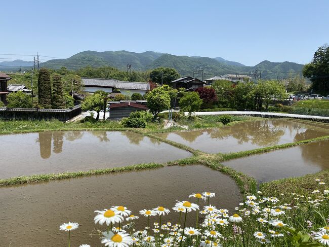 5月とは思えない暑さ。<br />関東でも30℃を越えました。<br />そんな中時間があったので秩父に行ってみることにしましたが、一つ手前の駅で降りて歩いて秩父に行ってみました。