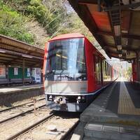 桜の季節の箱根登山電車。