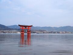 2023年の桜を楽しむ広島大阪旅行（1）平和記念公園と宮島