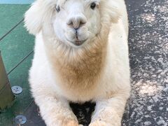 愛犬と行く！もふもふ&イングリッシュガーデンを愛でる蓼科旅