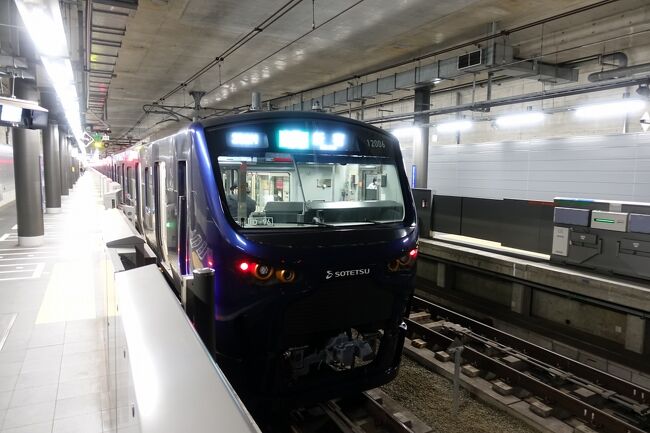 　６週間に１度の、定期的な我が子の東京通院。我が子の辛い診察の後には、苦労に報いるべく、お楽しみを準備しています。<br />　ロマンスカーミュージアムの巨大ジオラマを観賞した後は、春に開業した新ルートで都内へと戻ってみました。<br />