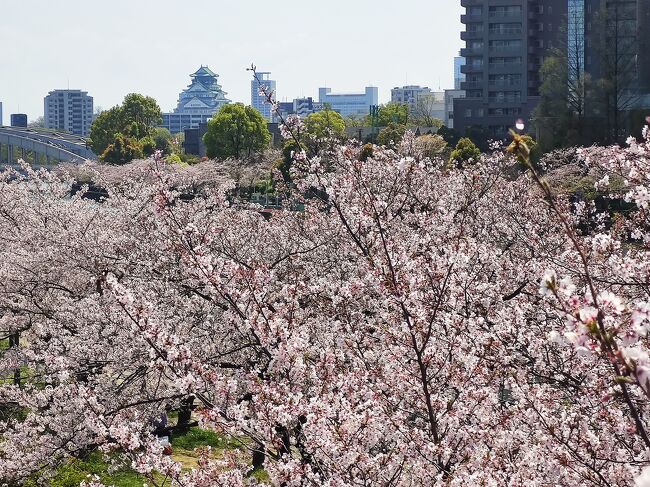2023年3月上旬、別府から広島と大阪に戻るために、青春18きっぷを2回分使いました。<br />残り3回分の使い道として、3月下旬、同行者が広島に来てくれることになりました。同行者が大阪から広島まで1回分使用、その後2人で広島から大阪まで使用することで、5回分を使い切りました。<br /><br />ちょうど桜がきれいな季節です。桜を楽しむことをテーマのひとつにしました。<br />この旅行記では、主に後半の大阪と兵庫での出来事について紹介しています。この旅行記は、文章少なめでお送りします。