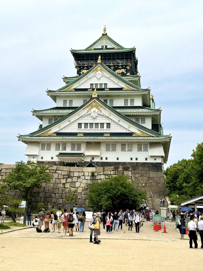 東京から大阪への出張といえば、日帰りで仕事をして帰るだけで観光をしたことなどなかったのですが、今回は2泊3日で行くことになり、仕事の合間にねじ込んで初めて大阪城に行きました。<br />一昨年、松山城に行ってから急に日本のお城が好きになり、姫路城、松本城と城巡りが続いています。<br />大阪城は鉄筋コンクリートで作られた復元天守で、「太閤さんのお城」と言われているのに、実は徳川時代の城を模しているなど、ちょっと残念な印象を持っていましたが、実際に行ってみると緑の瓦に金の装飾が美しく、石垣も立派でした。<br />観光は大阪城しか行けませんでしたが、今回は大坂で合流した同僚たちと盛り上がり、いい年したおじさん、おばさんが「修学旅行みたいで楽しかったね!」という思い出に残る旅行となりました。<br />