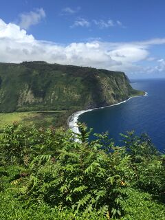 想い出整理　コロナ前旅行　ハワイ島篇