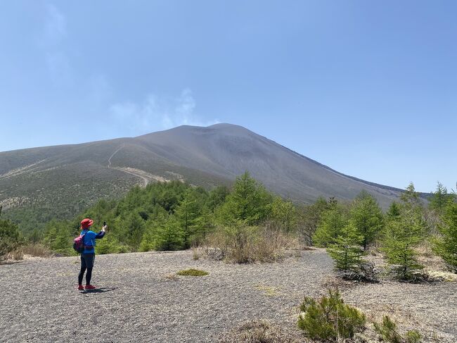 中軽井沢滞在中、小浅間山日帰りハイキングをしました。難易度1ですから気軽に上りに可愛い花をながめながら心地好く歩けます。途中、タラの芽を見つけ下山時に頂いて帰えり、夕食は天ぷらで大満足。<br />仕上げは千ヶ滝温泉。