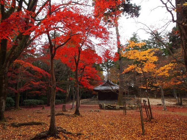 秋の西国三十三所巡礼、姫路と大阪の旅【２】西国札所　圓教寺（その２）奥の院