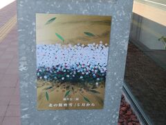 師井公二個展、と知らなかった中島公園水天宮、と咲き始めの藤