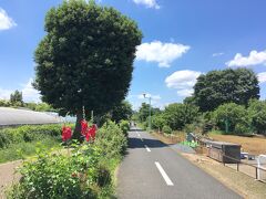 【東京を自転車で走る旅】(6) 多摩湖自転車道・直線部