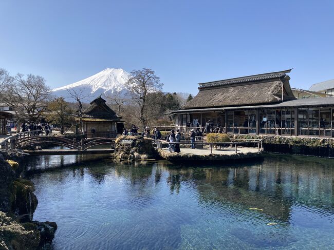 １泊2日のドライブ旅行！<br />世界遺産登録されている富士山周辺の構成遺産をめぐったりグルメを楽しんだり。まったりホテルステイも堪能した旅行です。