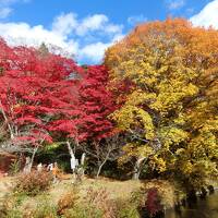 みごとな紅葉。五色沼と大内宿。あわまんじゅうがおいしい①