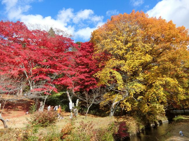 みごとな紅葉。五色沼と大内宿。あわまんじゅうがおいしい①