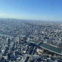 【2021年12月】東京、神奈川5歳子連れ旅行(東京編) スカイツリーと浅草寺とキッザニア東京