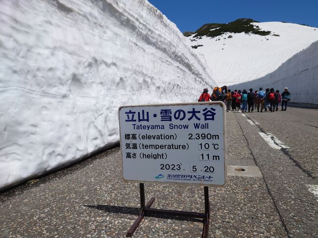 今回の旅行の1番の目的はホタルイカを食べる事だったのですが、このためだけに富山に来る価値があるかを4Travelで質問しました。<br />得た回答は「そのためだけに来るのは勿体ない。ついでに雪の大谷に行ってみては？」でした。<br />そこで今回は初めて立山に向かいました。