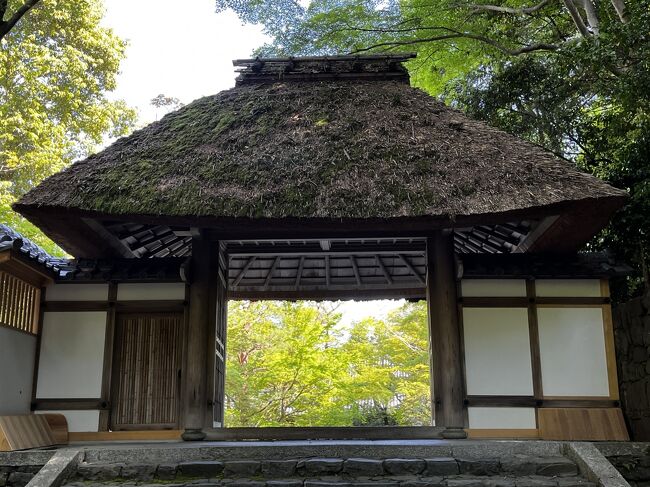 銀閣寺から哲学の道を歩いて法然院。<br />この辺は平家物語の俊寛僧都の逸話で知られる鹿ケ谷だ。<br />法然院の砂を盛り上げた白砂壇にシカの足跡がくっきり残っている。<br />1000年前の話と同様、いまだにシカが生息しているんだ。