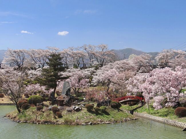 荒神山スポーツ公園は辰野町のほぼ中央、標高764 mの小高い丘に数々のスポーツ・レクリエーション施設等が点在する広さ約35 haの公園です。この公園内に、全国ため池百選に選定された、面積2.7 ha、周囲700 mの荒神山ため池(たつの海)があり、その周辺にソメイヨシノ、ヒガンザクラ、ヤエザクラ、シダレザクラ、オオヤマザクラ等約800本のサクラが植えられております。今回このサクラ見学して来ましたのでご報告します。<br />たつの海を含む荒神山スポーツ公園創設の歴史は本文中に示します。<br />なおこの旅行記は「花の伊那 春日公園」(https://4travel.jp/travelogue/11819582)の続きです。<br />