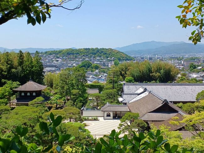 全国旅行支援もそろそろ終わりと久しぶりの京都旅を企画。<br />長野県からいつものルートと少し代え、遠回りして北陸新幹線、特急サンダーバードを選択。3日前の能登地震の影響もなく、大雨で運行停止となった中央西線も回避できましたが強風で湖西線は残念ながら迂回。<br />京都では、昼頃からの初日は嵯峨野・嵐山のあと河原町でおばんざいと洋食の夕食。2日目は哲学の道散策と下賀茂神社、東福寺と駅ビルでの夕食。3日目は東寺、御所、二条城をゆっくりと楽しんで帰途につきました。