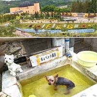 ワンコ旅東北、温泉めぐり（蔵王、鶯宿、国見、あつみ、飯坂、高湯）②中尊寺、鶯宿と国見温泉　森の風鴬宿宿泊