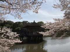 2023奈良お花見：1日目　奈良公園