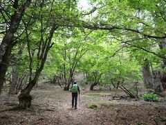 南アルプス市の旅行記