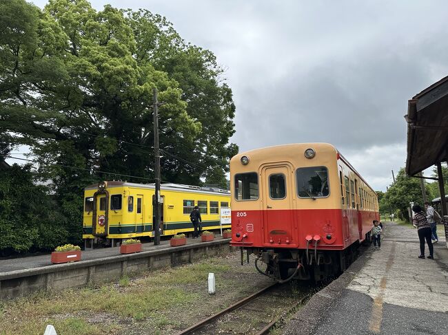 ＪＲ五井駅から大原駅まで、小湊鉄道といすみ鉄道で横断。<br />途中養老渓谷駅で降りて、養老渓谷滝めぐり、名所めぐり。車窓からの眺めは、海や山など、特別な絶景があるわけではありませんが、のどかな列車旅を楽しむことができました。