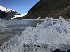 アラスカクルーズ