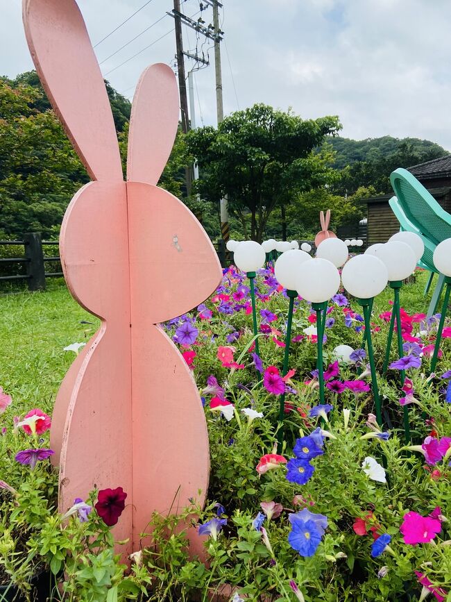 3年ぶり3度目の台湾旅です(๑˃̵ᴗ˂̵)<br />業界優待を見つけたので<br />円高のこの時期にしては非常にお得に旅できました。<br />食い道楽女たちのゆるっと街歩き旅です♪<br /><br />移動&食事編で~す✌️