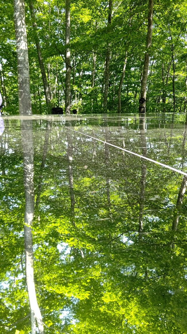 コロナ制限が撤廃されて初めての旅は、山形方面。<br /><br />2日目の午後は、只見川の霧幻峡へ…。<br /><br />その後ホテルで一泊し、3日目は、五色沼、上杉神社、空気神社を訪れた後、帰路につきます。<br />