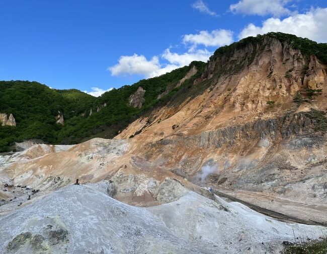 　2023年５月29日（月）～31日（水）阪急トラピックス主催　「丸駒温泉・登別温泉　北海道の秘湯・名湯めぐり3日間」に参加しました。3日間で北海道の8つの温泉を巡るツアーです。湯疲れするほどたっぷりお風呂に入ってきました。あ・い・う・・・は行った温泉の番号、①②③・・は旅行記の番号です。⑩までありますので宜しければご覧ください。主な行程は下記の通りです。<br />5月29日（月）旅行1日目　自宅最寄りのバス停＝リムジンバスにて羽田空港第2ターミナルーANA065便にて新千歳空港①＝あ　豊平峡温泉②＝い　ニセコ昆布温泉　ニセコグランドホテル泊③<br />30日（火）2日目　う　ニセコ五色温泉＝サイロ展望台④＝え　豊浦温泉しおさい⑤＝お　虎杖浜温泉　湯元ほくよう＝か　登別温泉散歩⑥（き　大湯沼川森の足湯）ホテルまほろば泊⑦⑧<br />31日（水）3日目　ホテル朝食⑨＝く　丸駒温泉旅館　＝新千歳空港　買い物ーJAL510便にて羽田空港＝自宅最寄りのバス停・・・自宅⑩<br />