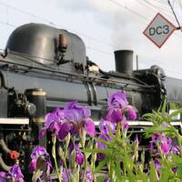 2023.5 秋田・青森・岩手　鉄道旅行