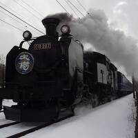 冬の鬼怒川温泉保養旅・その1.東武鉄道株主優待券&雪上を走る蒸気機関車を眺めたよ