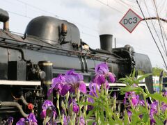 2023.5 秋田・青森・岩手　鉄道旅行