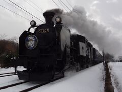 冬の鬼怒川温泉保養旅・その1.東武鉄道株主優待券&雪上を走る蒸気機関車を眺めたよ