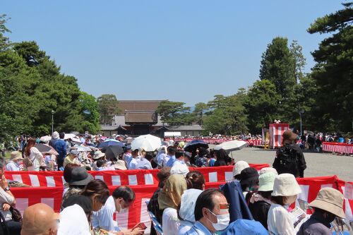 京都御苑 葵祭2023(Aoi Festival 2023,Kyoto Imperial Garden,Kyoto