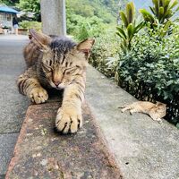 【台北】腹ごなしに気の向くままに歩く、ゆるっとゆるゆる～観光＆街歩き編