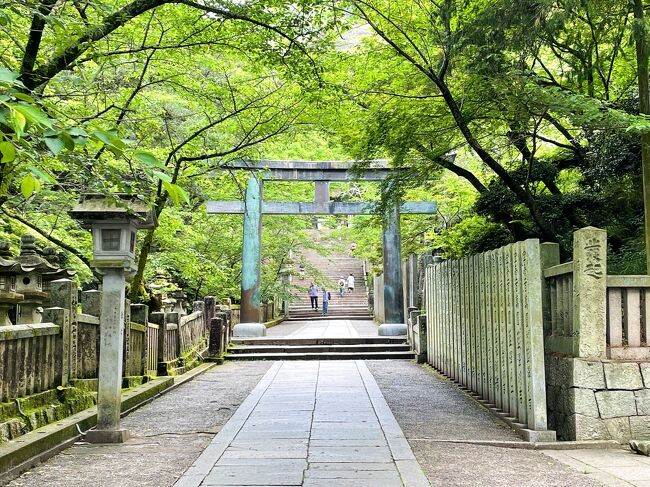 国内で一番泊りたかった宿が香川県の佐柳島にあるネコノシマホステル。<br />高級温泉旅館や5☆ホテル以上に私にとっては憧れの宿。<br />でもコロナ禍はず～と営業されておらず、<br />ずっとタイミングを見計らっていました。<br />猫友ネコパンチさんからの営業再開のお知らせを知り、<br />やっとこさネコノシマホステルへ滞在することが出来ました。<br /><br />ひとり旅だったら佐柳島1泊2日で帰ってくるところ、<br />相棒も行きたいと言い出し、相棒の好きな温泉を2泊追加することに。<br />香川県で目ぼしい温泉を検索したところ、金毘羅温泉と小豆島がヒット。<br />どちらも前回2月の東北の温泉と比べたらもうひとつでしたが、<br />温泉以上に金毘羅参りや瀬戸内の絶景を堪能することが出来ました。<br /><br />この旅行記は初日のこんぴらさん参拝の記録です。<br />一生に一度はこんぴらさん！頑張って石段を785段上りました。<br /><br />5/23(火)　大阪→こんぴらさん（金毘羅温泉泊）<br />5/24(水)　琴平→多度津→佐柳島（佐柳島泊）<br />5/25(木)　佐柳島→多度津→高松→小豆島(小豆島泊）<br />5/26(金)　小豆島→神戸→大阪