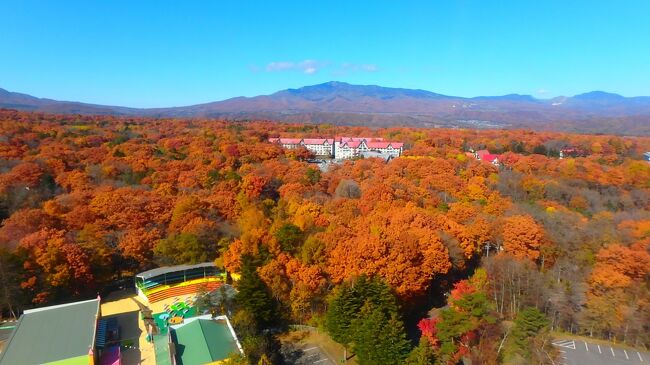 紅葉を見に近場の昇仙峡→清里→軽井沢に行ってきました。天気も良く、昇仙峡の紅葉、秋を感じさせてくれる清里。そして軽井沢は赤色の紅葉も多く、紅葉で街中が覆われれいるようで、おとぎの世界にいるようでした。１泊２日でしたが、十分堪能させて頂きました。<br />