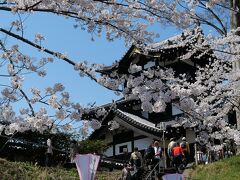 桜満開の越後高田城