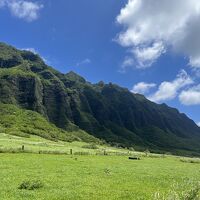 ～ハワイ初心者妻のハワイ旅行　3日目～