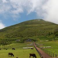 八丈島旅情