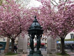 4月のパリ、花の都はリラ冷えの日々