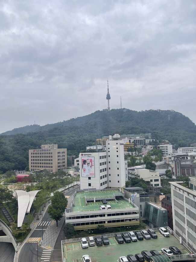 コロナ禍中は海外旅行に備えて申請がふえましたが、今はかなり申請が免除になり、韓国入国はQ-code登録のみ、日本入国はvisit Japanの入力の準備だけになったので<br />海外旅行に行くことにし、近場で数年ぶり韓国にきめました。<br /><br />そして事前登録しなくても、両方とも昔と同じ紙記入でもOKです。<br />大韓航空は機内で事前登録したかの確認し用紙が配布されます。ただ韓国入国はQ-code 登録してあっても、入国申請用紙記入はやはり必要でした。<br /><br />携帯はWi-Fiレンタルせず、ahamo利用者なのでローミングで<br />場所検索などでは十分ことは足り、ホテルや空港などの無料Wi-Fi使用しながら行動しました。<br />あと、Googleアプリもあてにならないと口コミありましたが<br />ソウルでの位置情報は確認できました。<br />お店などの検索はコネスト地図、位置情報はGoogleアプリ<br />で行動OKでした。<br /><br />愛猫を迎えてしまった為あえて1泊にし、<br />観光はせず、市場と明洞でショッピングとグルメだけの旅行です。<br /><br />5月26日金曜日　大韓航空9：15仁川発<br />↓ 世宗ホテル明洞泊<br />5月27日土曜日　大韓航空19時15仁川発<br /><br />フリー旅行でしたので、私のミスでチラホラ分からずトラブルもありましたが、<br />2日間だけでしたが気晴らしで楽しめました！<br />現地韓国人もなんだか数年前に比べて、対応が優しく接してくれるようになった気がします。<br /><br />皆んながつかえる公共トイレは、コロナ前に比べて綺麗に掃除されてるのか<br />トイレットペーパー流してよくなったかは分かりませんが、<br />綺麗だと印象うけました。<br /><br />韓国客は中国人だけでなく、ヨーロッパ人が増えてました。<br /><br /><br /><br /><br /><br />