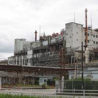 備忘録　岡崎１（虚弱体質）