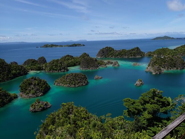 タイさんのインドネシアの旅35日目(2023/5/24) ピアネモツアー、ラジャアンパット、西パプア