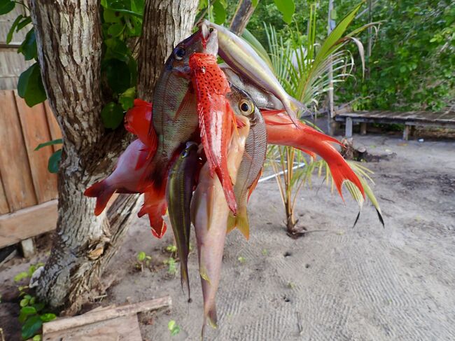 タイです。<br />ケリ島6日目。<br />ケリ島最終日。<br />今日は雨です。