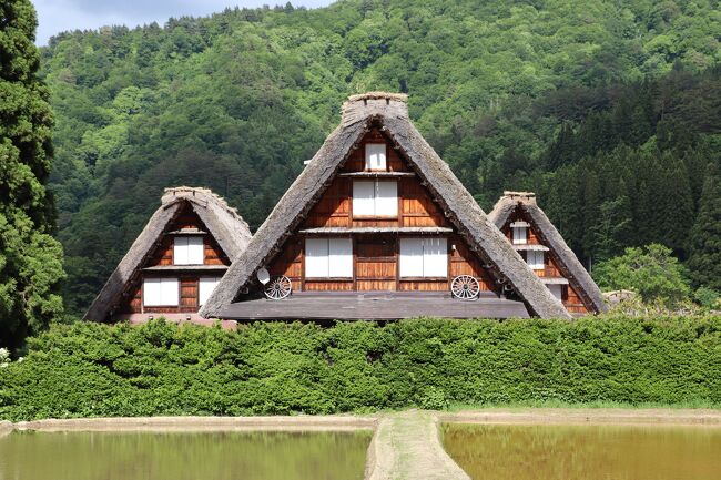 全国旅行支援を利用してお得に白川郷と立山黒部アルペンルートを巡るツアーに参加しました。<br />格安のツアーなので新宿からバス利用です。初日の観光は白川郷だけです。<br />途中、談合坂SA、諏訪湖SA、平湯温泉道の駅で休憩して、白川郷到着は15時頃でした。<br />白川郷は3度目ですが、これまでよく旅行のパンフレットや写真などで見かける三小屋(三連合掌)には行ったことがなかったので、今回はまずそちらから散策を始めることにしました。<br />標記写真は白川郷の三小屋(三連合掌)