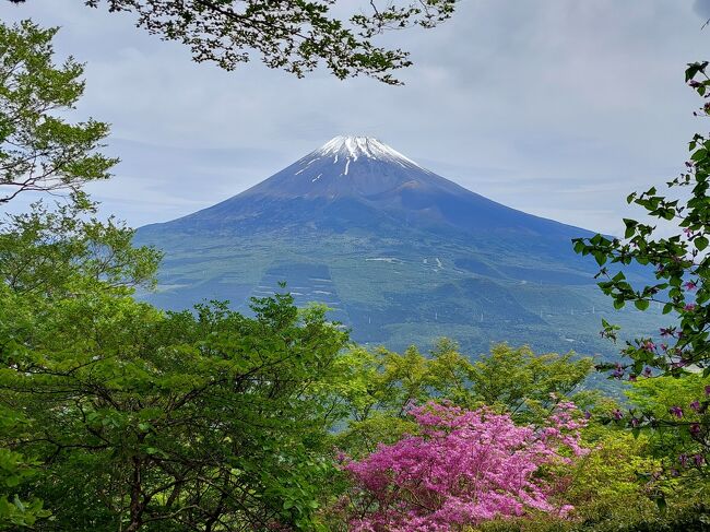 今回は富士見登山。<br /><br />富士山の南にある愛鷹山(あしたかやま)に登ってきました。<br /><br /><br /><br />【コースタイム】<br />6:28山神社駐車場~6:59愛鷹山荘~7:03富士見峠~7:31黒岳7:40~10:00越前岳(愛鷹山)10:48~11:32呼子岳11:48~11:54割石峠~13:51山神社駐車場