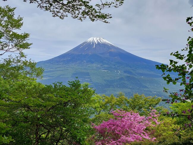 今回は富士見登山。<br /><br />富士山の南にある愛鷹山(あしたかやま)に登ってきました。<br /><br /><br /><br />ブログでもう少し詳しく書いてます。<br />https://odekake-junky.com/hiking-ashitakayama/<br /><br /><br /><br />【コースタイム】<br />6:28山神社駐車場～6:59愛鷹山荘～7:03富士見峠～7:31黒岳7:40～10:00越前岳(愛鷹山)10:48～11:32呼子岳11:48～11:54割石峠～13:51山神社駐車場