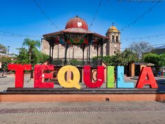 【2023年海外】GWメキシコ周遊 #06 テキーラ村1Dayトリップでテキーラ三昧
